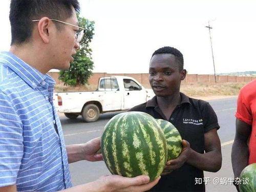 当代吃瓜的网友,娱乐圈最新热点事件大盘点