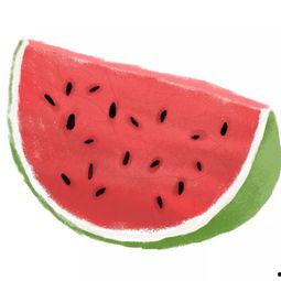 脑子吃瓜你吃瓜皮,揭秘网络热语背后的文化现象