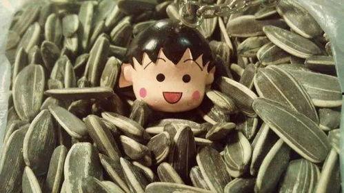 吃瓜子不嗑瓜,品味生活的小智慧