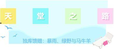 吃瓜吃到沉醉了,一场沉醉于娱乐圈的狂欢之旅