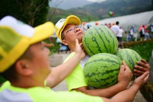 吃瓜吃嗨的图片