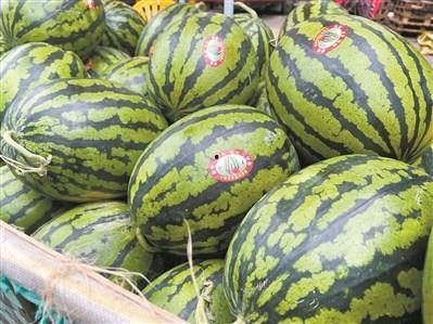 小糖吃瓜么,揭秘娱乐圈的甜蜜与苦涩