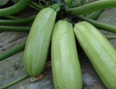 西喜吃瓜,揭秘娱乐圈那些不为人知的幕后故事