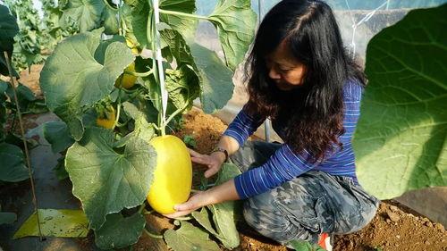 带你吃瓜之蜜罐,蜜罐背后的甜蜜陷阱