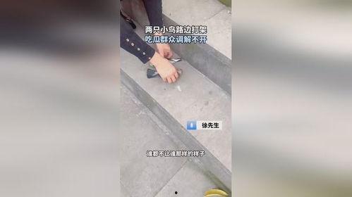 吃瓜群众打架调解,和谐社区共建记