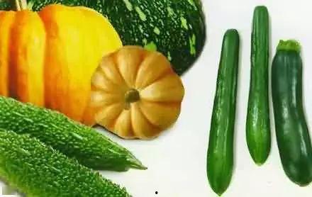 骑大马吃瓜,探寻古代贵族的悠闲生活