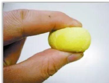 大口吃鸡吃瓜图片,畅快吃瓜，尽享欢乐时光