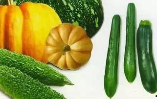 固执吃瓜,揭秘网络热议背后的真相与争议