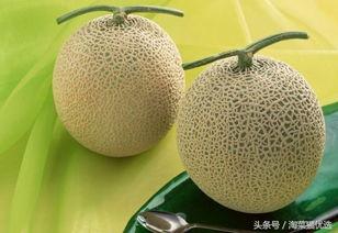 吃一万颗哈密瓜,揭秘吃下一万颗哈密瓜的壮举