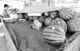 吃瓜到凌晨,揭秘娱乐圈不为人知的秘密