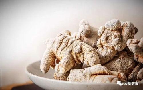 吃土瓜可以吃三七吗女生,女性养生新选择