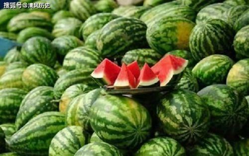 之前吃瓜现在吃瓜,我的瓜界成长记