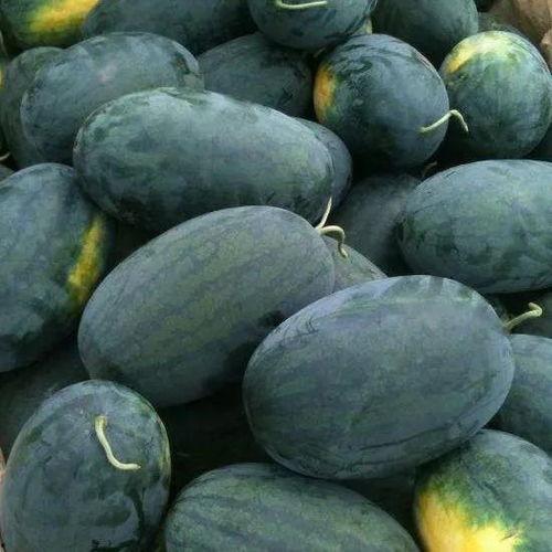 青岛戈优吃瓜,夏日吃瓜盛宴，尽享清凉一夏