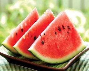 法考机构吃瓜,揭秘吃瓜背后的法律奥秘