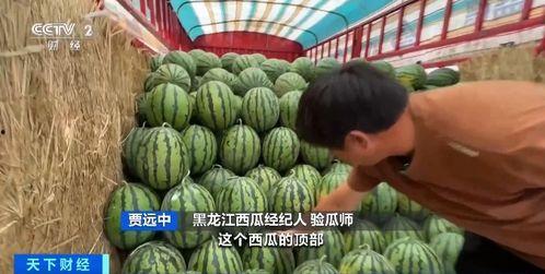 海潮吃瓜  第2张