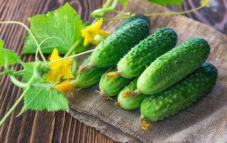 吃恋爱脑的瓜,揭秘明星情侣甜蜜瓜料的背后真相  第3张