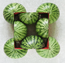 喝完酒吃瓜很苦,苦涩滋味难言尽  第3张