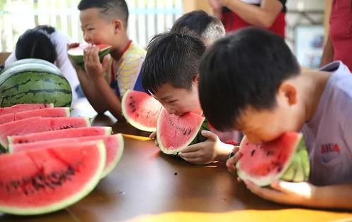 儿童吃瓜比赛