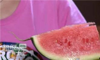 发烧吃籽瓜,籽瓜成了我的天然退烧良药  第2张