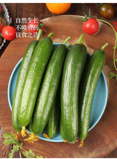 小果吃瓜视频  第3张