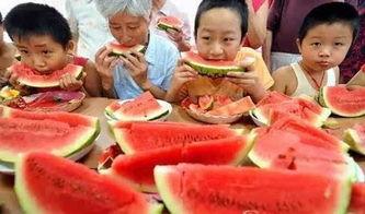 全家等吃瓜,吃瓜群众狂欢记  第2张